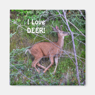 Werden met meer wild voor buitenliefhebbers magneet