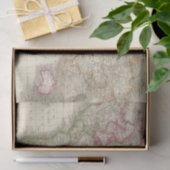 Wereld 9 tissuepapier (Geschenk)