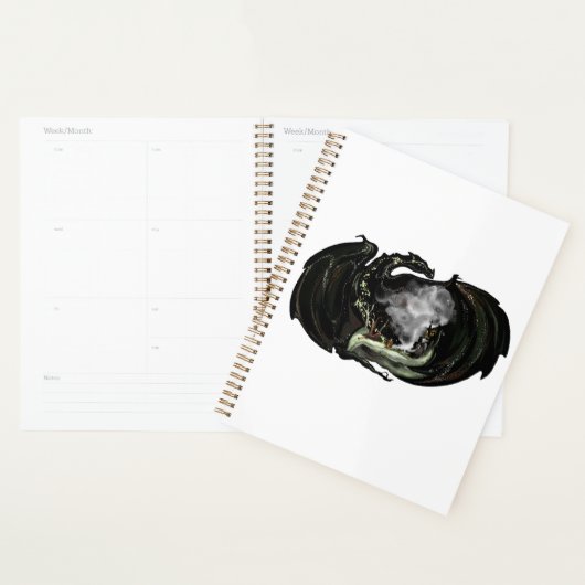 Wereld en draak planner (Display)
