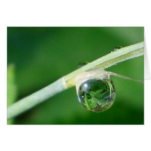 Wereld in een druppeltje