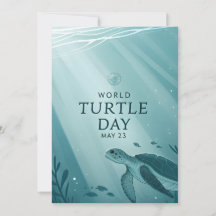 Wereld Schildpaddendag Onderwater Zeeschildpad Kun