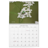 Wereld van Bugs en Arachnids Creepy Crawly Kalender (Jan 2026)