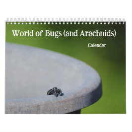 Wereld van Bugs en Arachnids Creepy Crawly Kalender