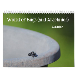 Wereld van Bugs en Arachnids Creepy Crawly Kalender
