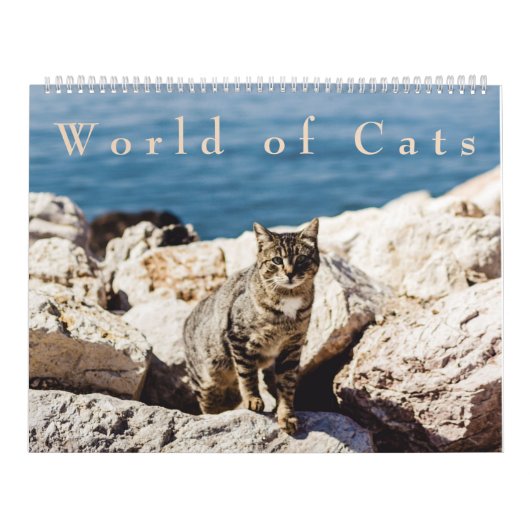Wereld van de Kattenkalender Kalender (Hoes)
