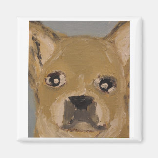 wereld van eric ginsburg erics land magneet