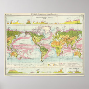 Wereld vegetatie en oceaanstroomkaart poster