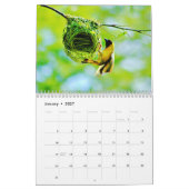 wereld vogels kalender (Jan 2027)