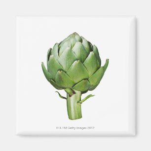 Wereldbol Artichoke op Witte Achtergrond Uitgeknip Magneet