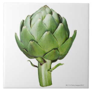 Wereldbol Artichoke op Witte Achtergrond Uitgeknip Tegeltje