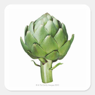 Wereldbol Artichoke op Witte Achtergrond Uitgesned Vierkante Sticker