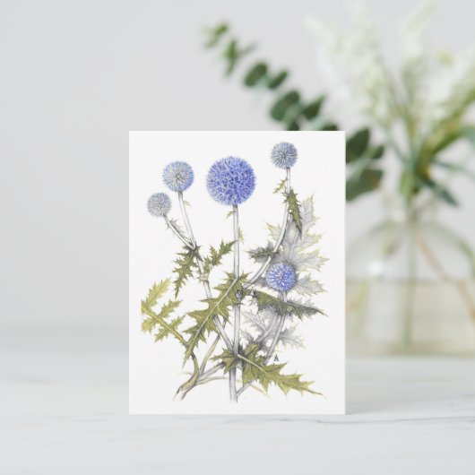 Wereldbol Thistle Collectie Briefkaart (Staand voorkant)