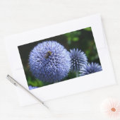 Wereldbol Thistle Flowers Sticker (Envelop)