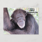 Werelddag van de chimpansee - 14 juli briefkaart (Voorkant)
