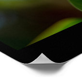 Werelddag van de hagedis, iguana poster (Hoek)