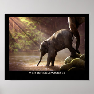 Werelddag van de olifant poster