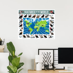 Wereldkaart van Gieren Poster