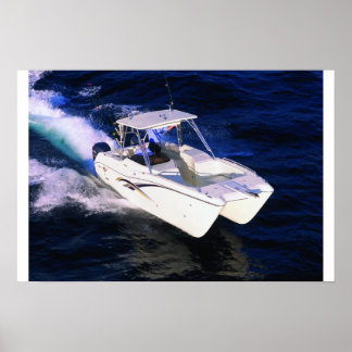 Wereldkat 250DC Poster