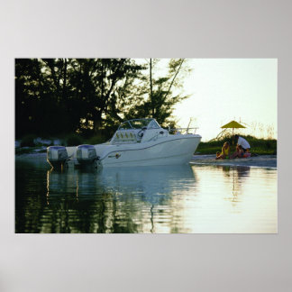 Wereldkat 270SC Poster