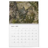 Wereldstrand 2016 kalender (Mar 2027)