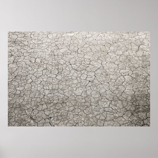 Wereldwijd wormconcept - gekraakte verschroeide aa poster (Voorkant)