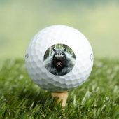 Werewolf Callaway Warbird balles de golf 3 pk (T-shirt Insitu)