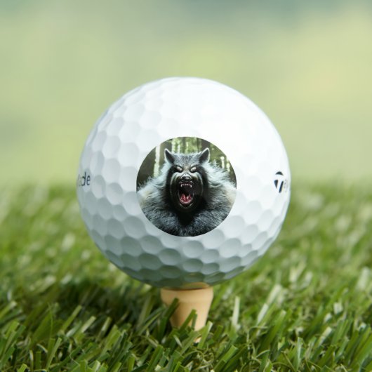 Werewolf Taylor Made TP5 balles de golf 12 pk (T-shirt Insitu)