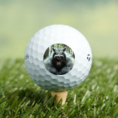 Werewolf Taylor Made TP5 balles de golf 3 pk (T-shirt Insitu)