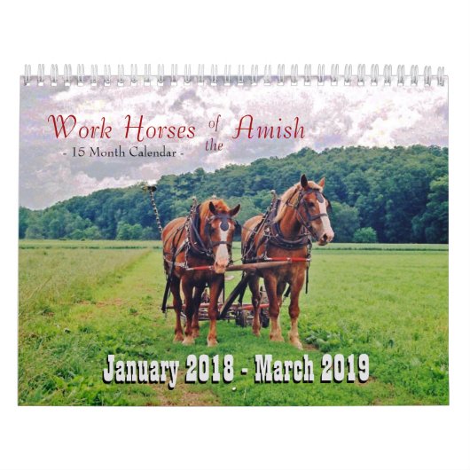 Werk Paarden van de Amish Kalender (Hoes)