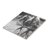 Werken met conceptpaarden in zwart-wit tegeltje (Zijkant)