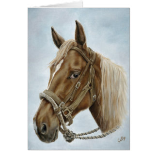 Werken met Western paard