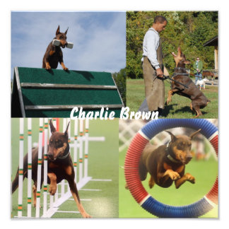 Werkhond Foto Afdruk