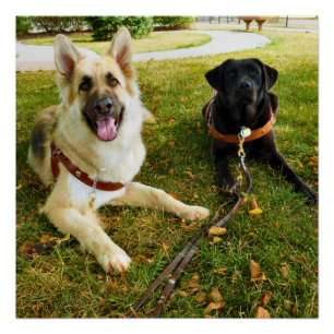 Werkkmeisjes Perfect Poster