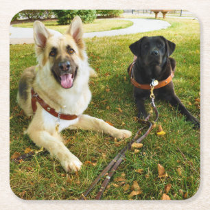 Werkkmeisjes Vierkante Kartonnen Onderzetter