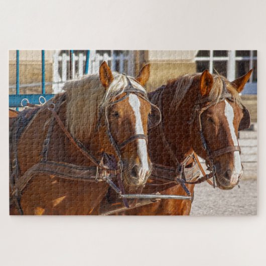 werkpaarden puzzel (Horizontaal)