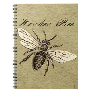 Werkster Bijen Insect Illustratie Antiek Notitieboek