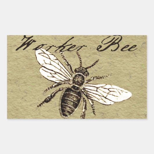  Werkster Bijen Insect Illustratie Antiek Rechthoekige Sticker (Voorkant)