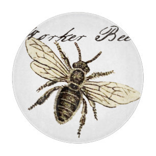 Werkster Bijen Insect Illustratie Antiek Snijplank