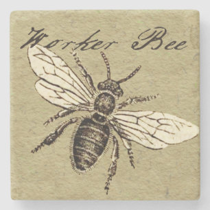 Werkster Bijen Insect Illustratie Antiek Stenen Onderzetter