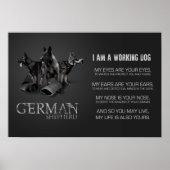 Werkzame Duitse Shepherd Dog - GSD Poster (Voorkant)