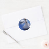werveling_derwisj ronde sticker (Envelop)