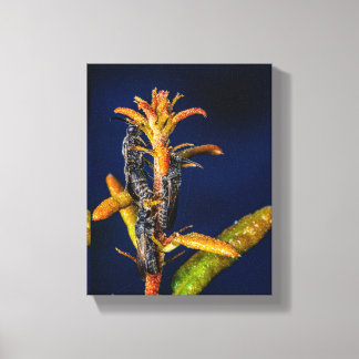 Wespen op Eik Canvas Afdruk