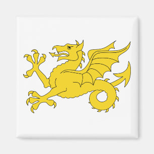 Wessex Dragon Magneet
