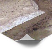 West-Afrikaanse Dwarf Croc - Osteolaemus tetraspis Poster (Hoek)