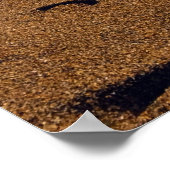 West-Bay in Dorset Poster (Hoek)