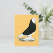 West Black Bald Pigeon Briefkaart (Staand voorkant)