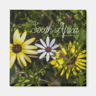 West Coast South Africa Wilde Flower ZA Magneet