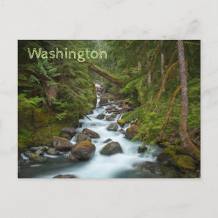 West Fork Foss, Washington Briefkaart