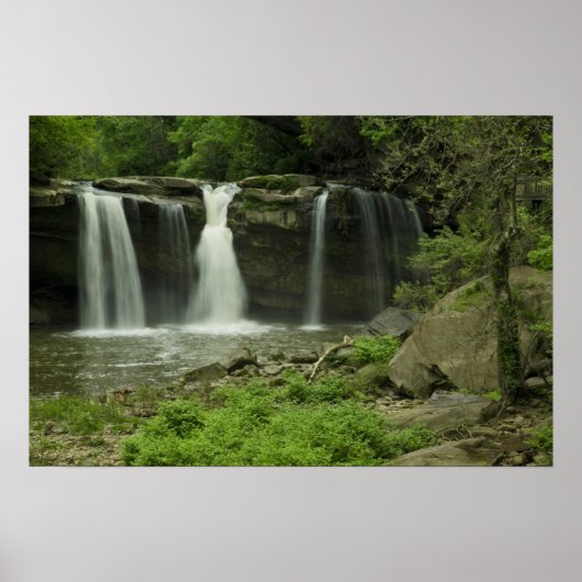 West-Herfsten in Elyria Ohio Poster (Voorkant)