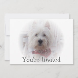 West Highland Terrier Invitation Kaart